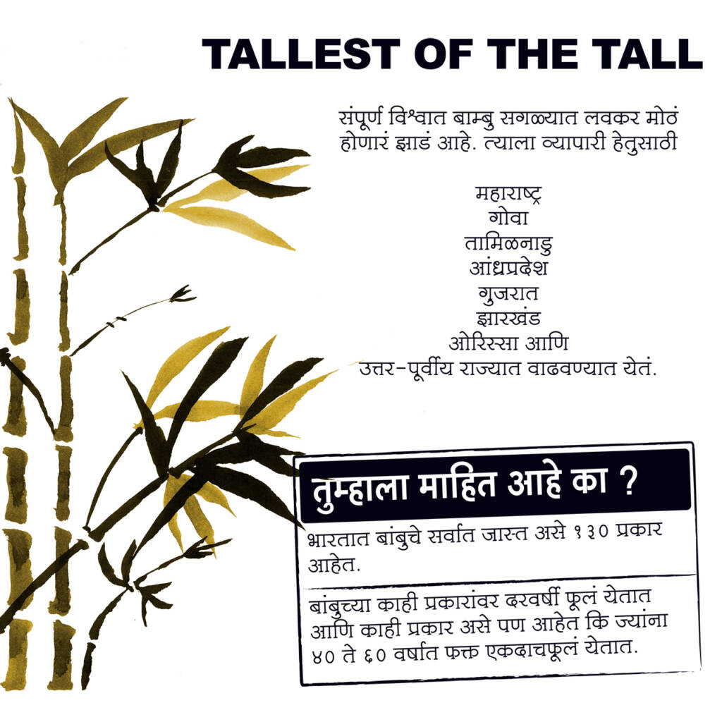 Interpretation Panel, Wardha Forest Department